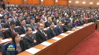 全国政协委员洪杰:奋力激发家居焕新活力,打造消费增长新引擎