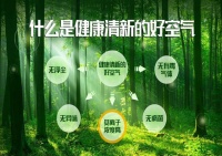 产品升级|蓝天豚负氧离子涂料,刷在墙上的“空气净化器”!