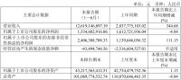 正式更名“衢州发展”,国资加持的新湖中宝成绩单亮眼