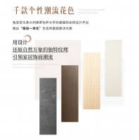 2025年湖北兔宝宝新品推介会——彩臻板强势来袭!
