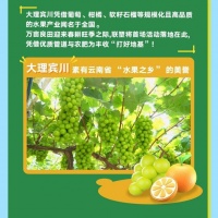 联塑农业大理地推活动圆满收官,助力春耕共促丰收