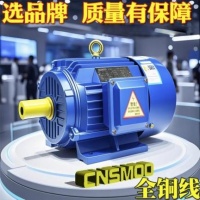 南京苏玛电机有限公司——以科技驱动高效智造,用服务铸就全球信赖