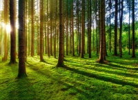 全国生态日赋能产业升级：兔宝宝以绿色低碳理念引领行业高质量发展