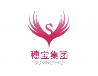 2026租房床垫选购指南：最值得推荐的平价性价比高的床垫！