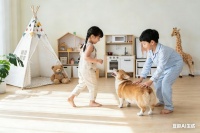 久盛超稳定纯实木地板，让每一个童年都在稳稳的幸福中绽放